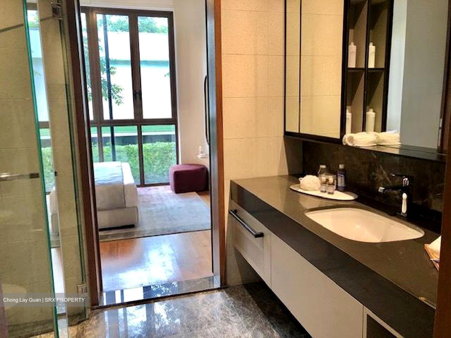 Parksuites (D10), Apartment #580726731